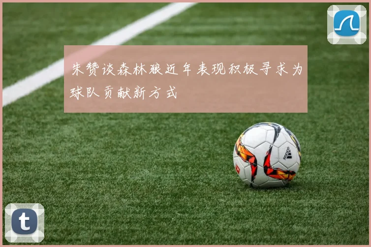 朱赞谈森林狼近年表现积极寻求为球队贡献新方式