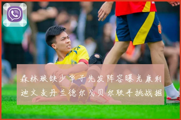 森林狼缺少华子先发阵容曝光康利迪文麦丹兰德尔戈贝尔联手挑战掘金