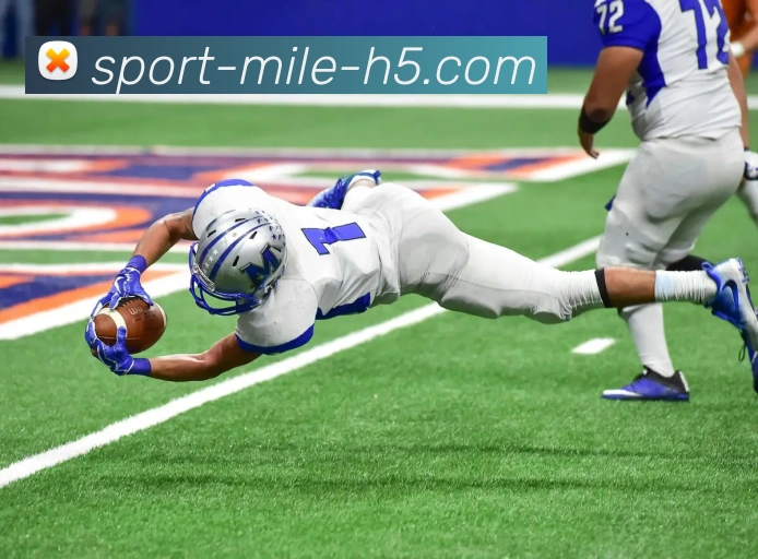 米乐体育发展历程